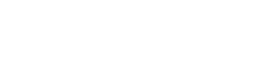 Co-Intelligence Academy